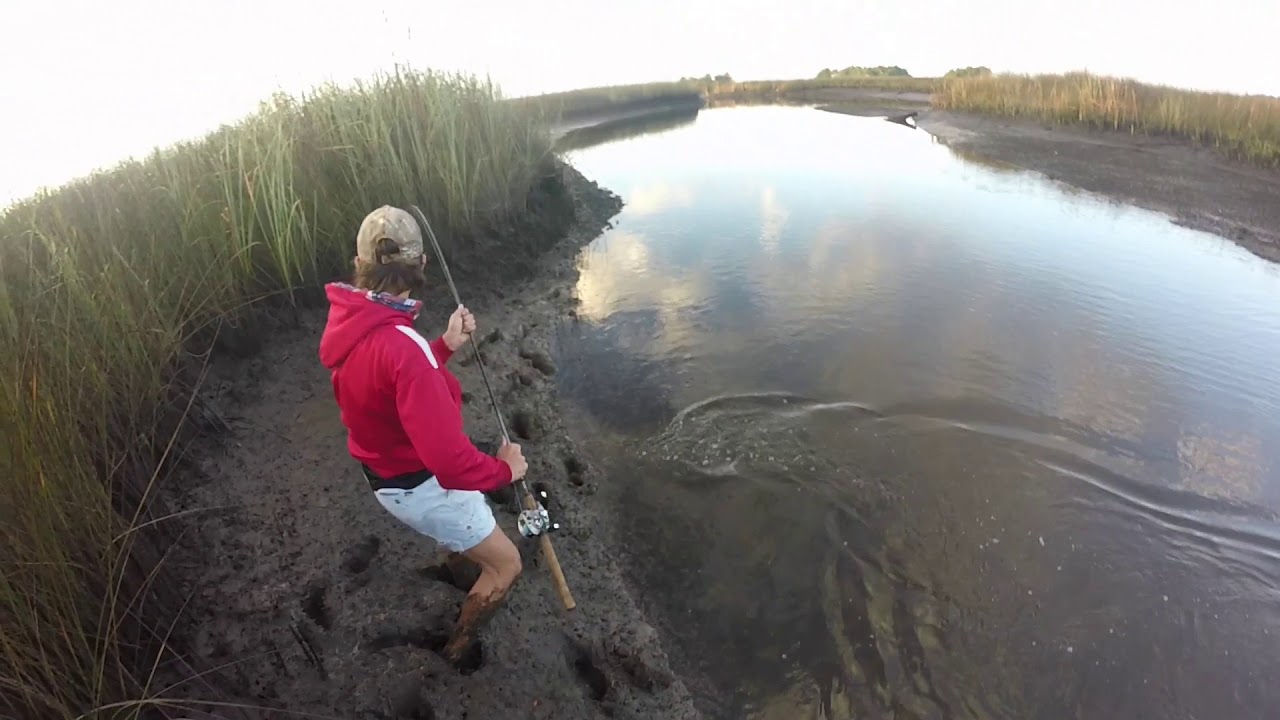 Striped Bass And Largemouth Fishing In St.marks Florida