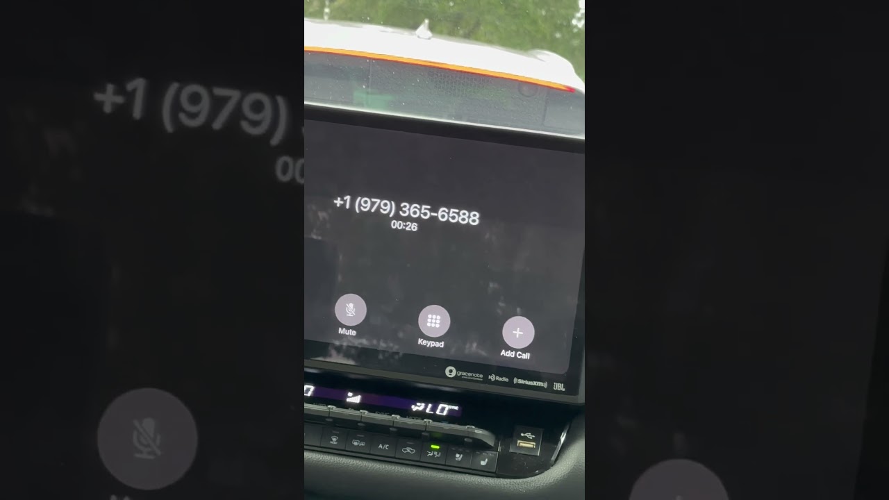 Scamming the scammers