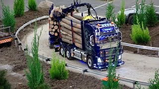 Great RC trucks at work - RC low loader, RC heavy duty, RC Scale Art, RC Scania, RC Mercedes, RC MAN
