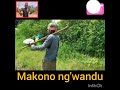 Makono