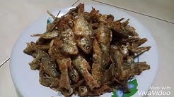 Ikan Wader Goreng Kriuk | Mantul Abis...... - Durasi: 4.21. 