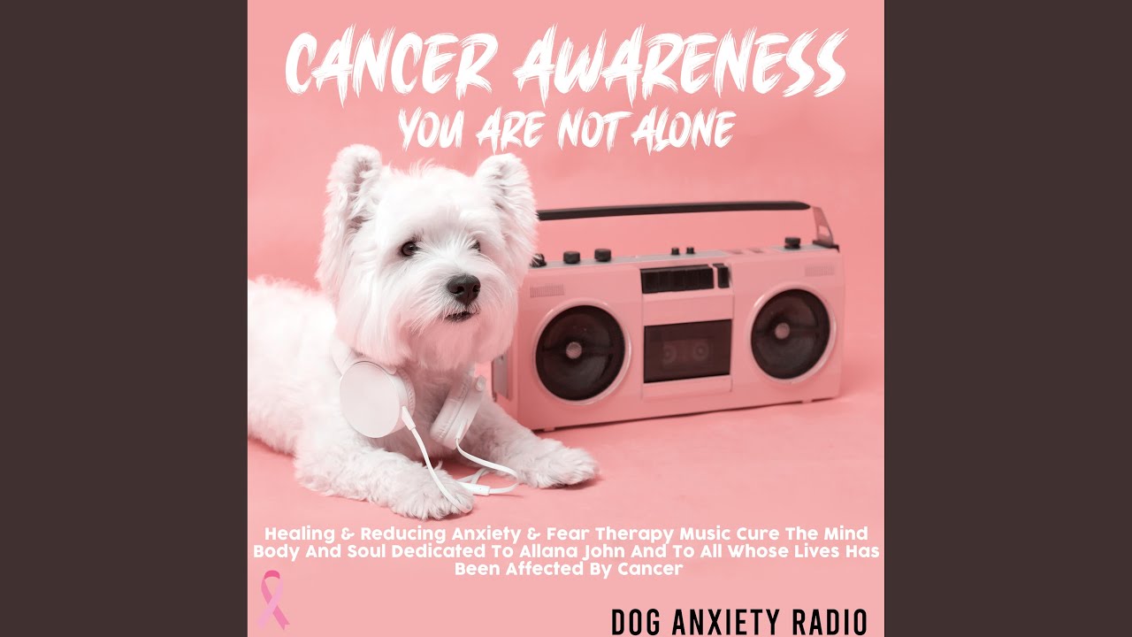 Inspiring Courage And Resilient auf YouTube ansehen