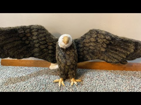 Hansa Bald Eagle Plush Unboxing & Review - YouTube