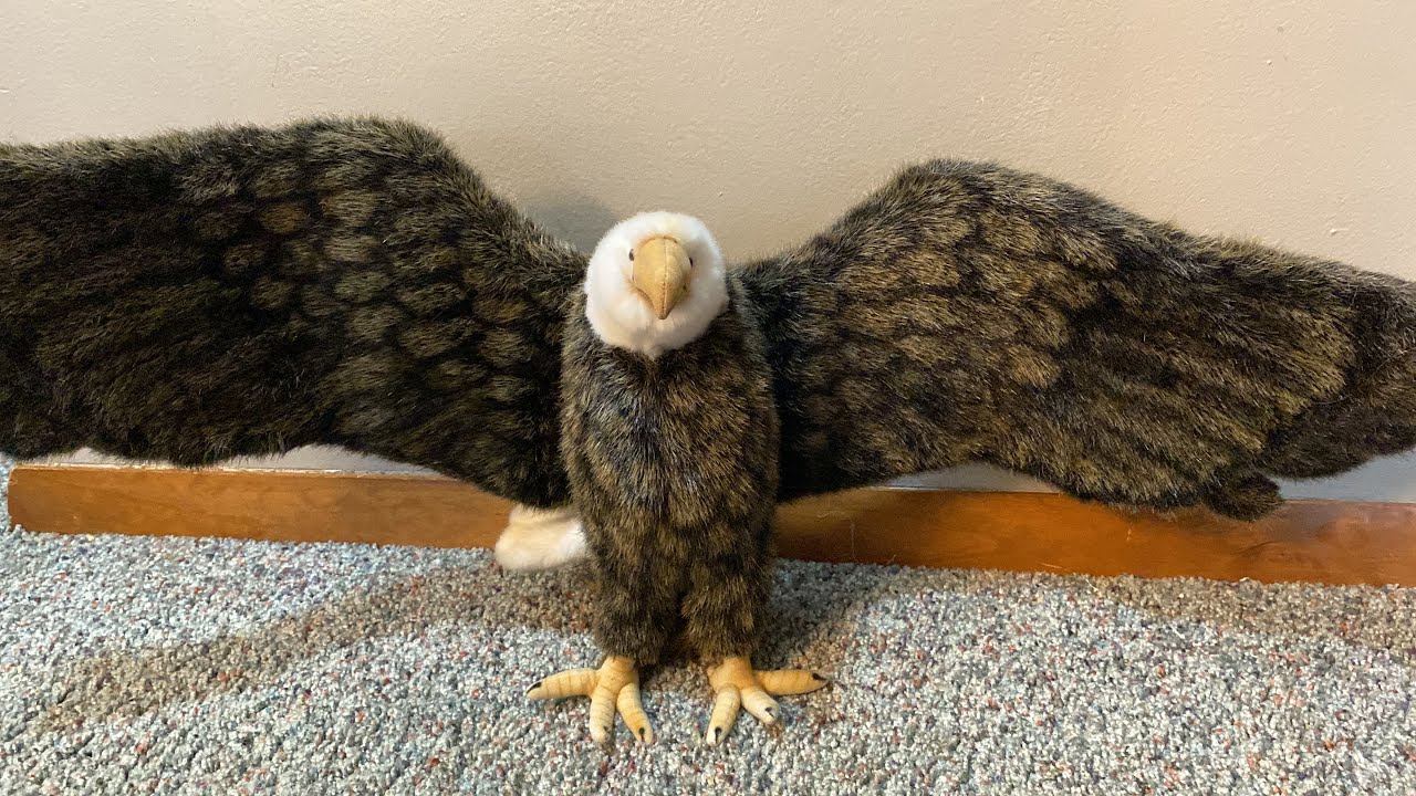 Hansa Bald Eagle Plush Unboxing & Review - YouTube