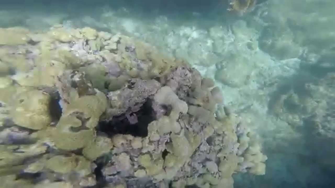 One Sandy Lane Barbados Price