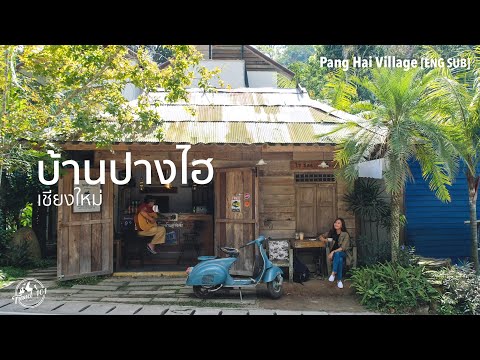 เที่ยวบ้านปางไฮ หมู่บ้านชิลๆในหุบเขา เชียงใหม่ | Travel 101 | Pang Hai Village, Thailand SS1:Ep24