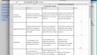 Transcript Analysis Assignment Net Worth