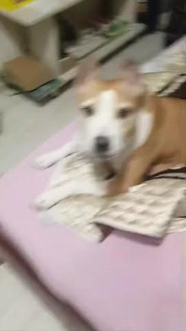 youtube.com