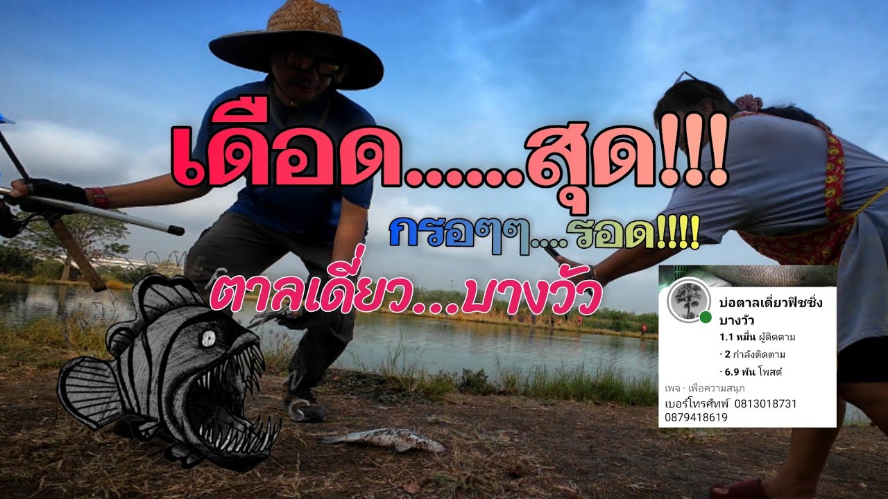 ซิงแรกของปี(ของpapa)#บ่อตาลเดี่ยวฟิชชิ่งบางวัว จัดให้...เดือด!!!!!#กะพงบุฟเฟ่ต์ #ตกปลา #ตกปลาบ่อ 