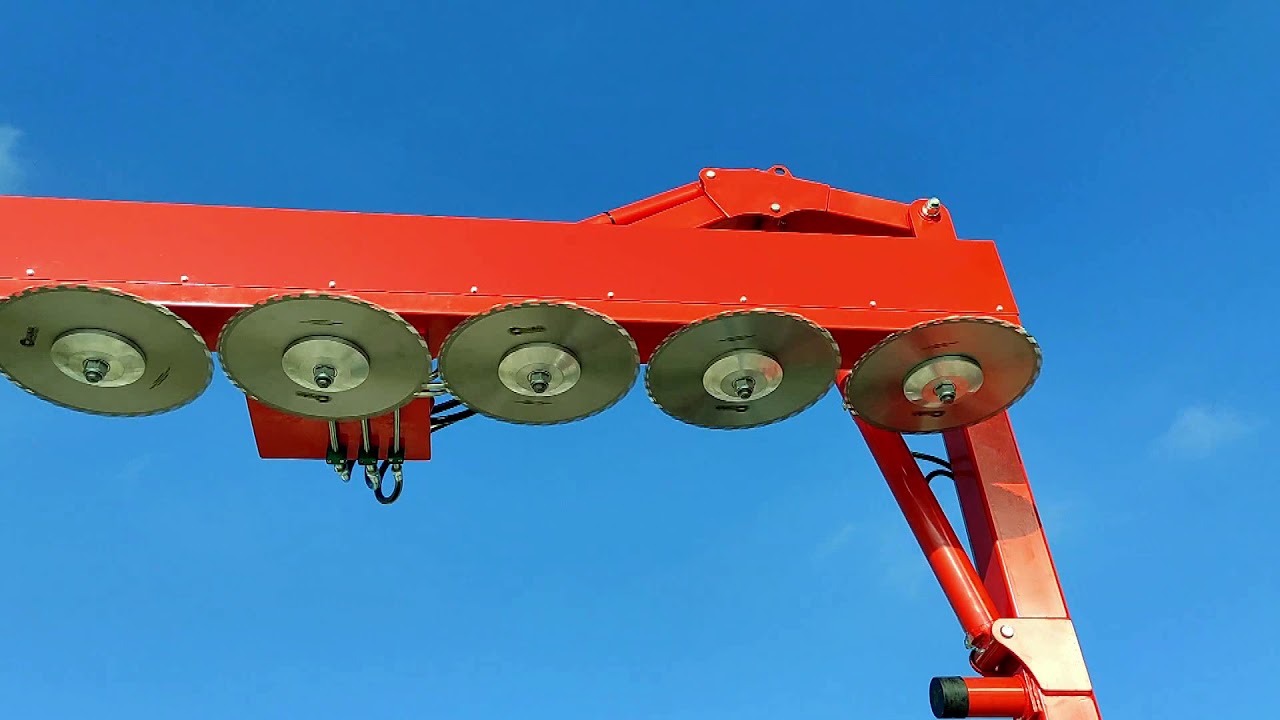 ΠΕΡΙΣΤΡΟΦΙΚΟ ΚΛΑΔΕΥΤΙΚΟ ΔΕΝΔΡΩΝ ΜΕ ΔΙΣΚΟΥΣ