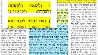 הדף היומי מסכת שבועות דף ו 6 שני ט״ז כסלותשע״ח להצלחת יעל לאה בת אילנה בלומה נבון