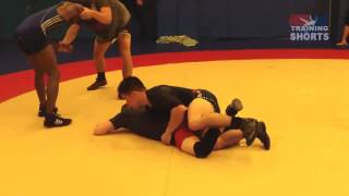 Technique - Olympic Champ - Henry Cejudo - H/Out Low Level