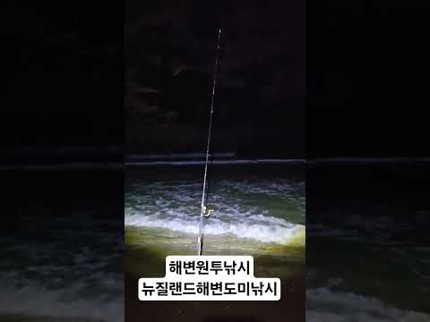 뉴질랜드 해변에서 하는 참돔원투낚시 #fishing #낚시스타그램 #참돔낚시 #원투낚시 #스내퍼낚시 #해변낚시 #도미 #참돔 #낚시 #낚시스타그램 ##뉴질랜드낚시꾼 #shorts