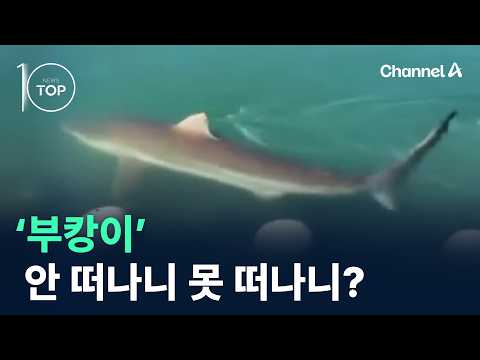 ‘Bukang-i’: Will You Not Leave or Can’t You Leave? / Channel A / News TOP 10