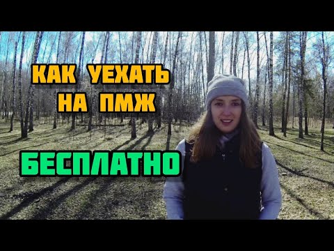 Как уехать в Израиль на ПМЖ совершенно БЕСПЛАТНО. Репатриация в Израиль 2022