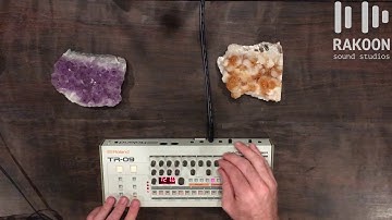 909 Day Special - Roland TR-09 Review and Tutorial (Rakoon Sound Studios Tips and Tricks)