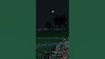 وابتغ فيما اتاك الله الدار الآخرة || عبد البديع غيلان || سورة القصص اية 77