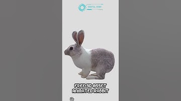 FREE DOWNLOAD 3D ASSET | ANIMATED RABBIT