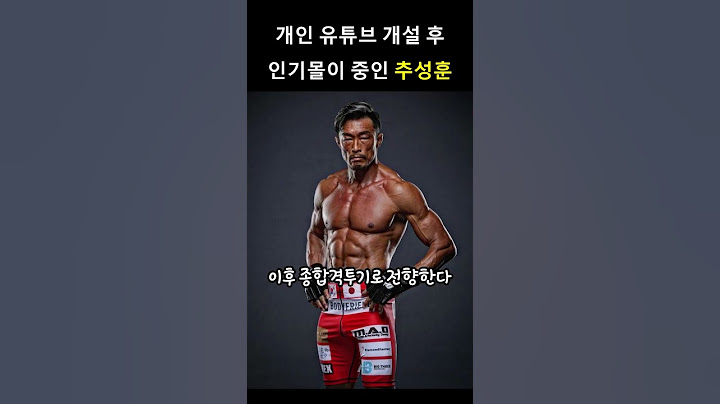 개인 유튜브 개설 후 인기몰이 중인 추성훈 이야기