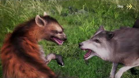 Wolf Game: The Wild Kingdom Android Gameplay - Part 1