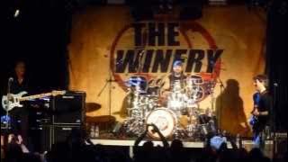 The Winery Dogs - Fooled Around And Fell In Love / Desire  2013