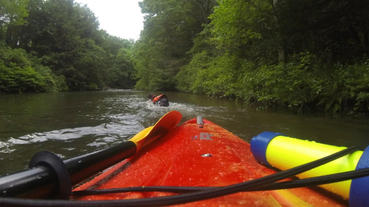 Jackson Rogue and Lexi