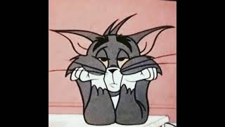 Billie Eilish My Boy Audio Edit