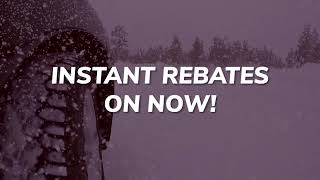 Instant Rebates On Goodyear Tires |  Fall 2022 | The Tire Terminal