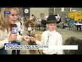 Alpacas take over American Royal at MOPACA, replacing cattle and horses