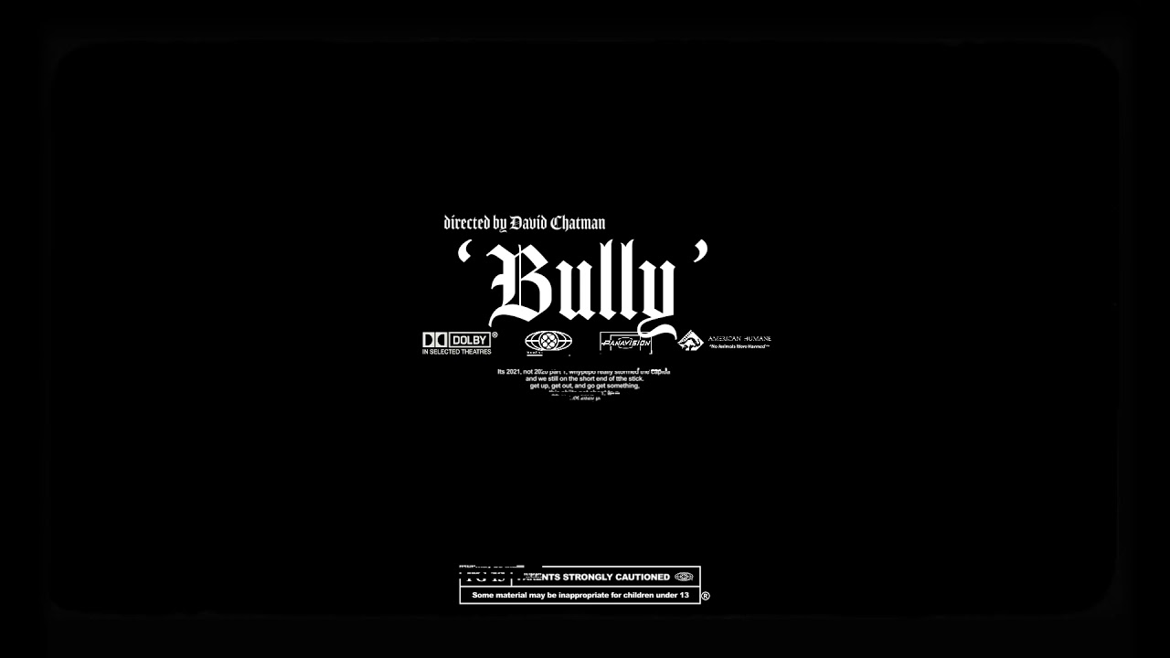 Guarda Skipper - Bully (Official Visual) su YouTube Guarda Skipper - Bully (Official Visual) su YouTube
