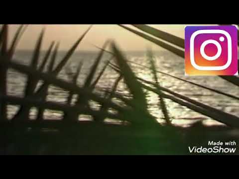 الفنان سعد جمعة اغنية الله يا الدنيا ورا الخل زعلان
