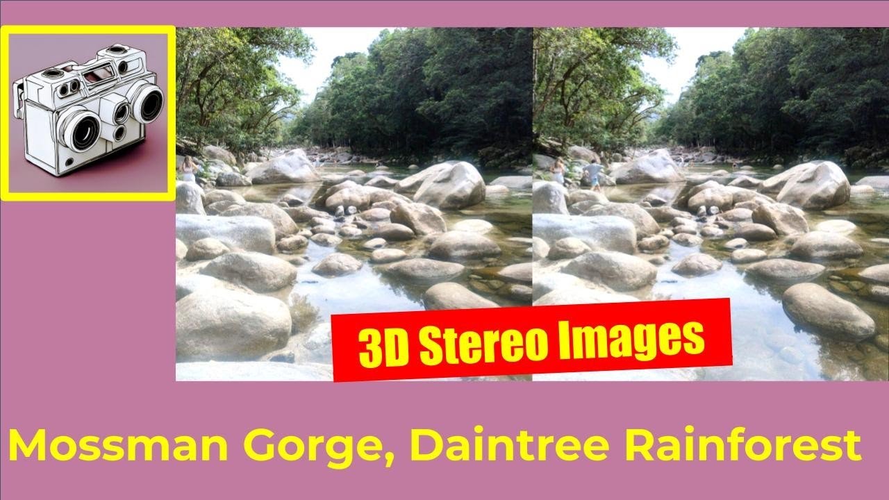 Mossman Gorge in Parallel View SBS 3D Stereoscopic Landscape Deep in Australia's Daintree Rainforest