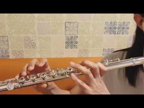 【フルート】サザンオールスターズ　「愛の言霊〜Spiritual Message〜」【Flute】SOUTHERN ALL STARS  〜Spiritual Message〜