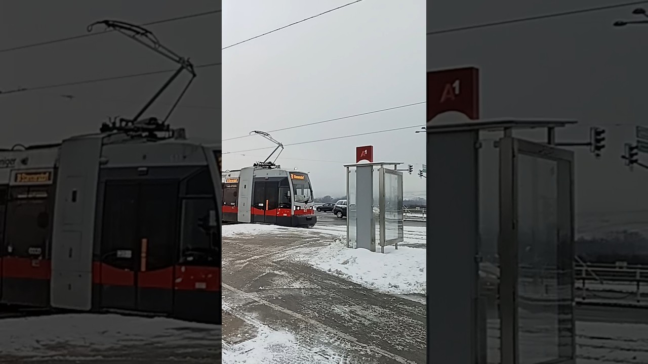 Wien Straßenbahn 🇦🇹