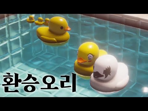 환승오리🦢