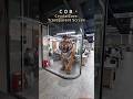 COB Crystal chip screen  #digital display #Stage LED screen #Advertising display  #digital signage