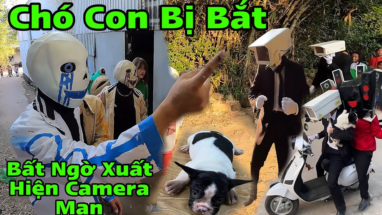 Toang Alpha Sans Bị Mất Chó Bởi Kẻ Đóng Giả Cameraman và Titan Speakerman