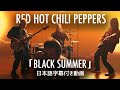 【和訳】Red Hot Chili Peppers「Black Summer」【公式】