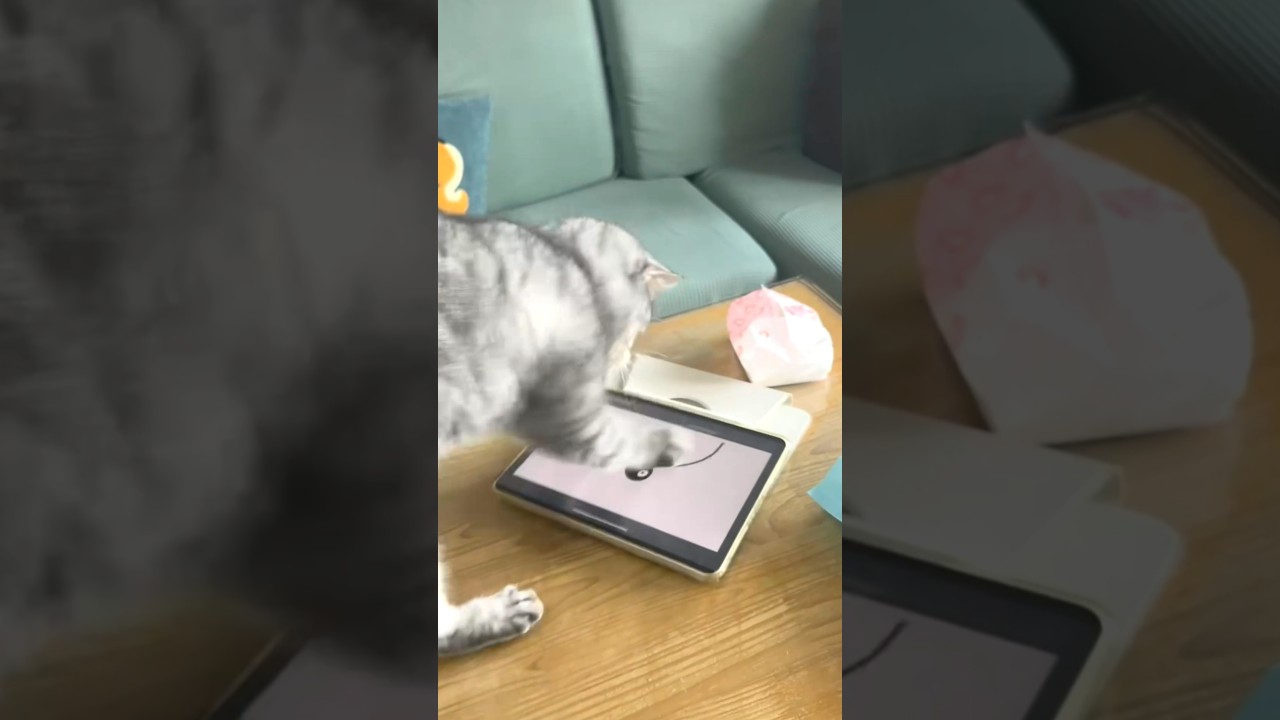 Cat Falls Off Table After Getting Too Excited Over Tablet Game