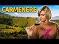 Wine grapes 101 carmenere