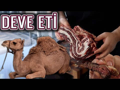 DEVE ETİ TADIYORUZ !!! (Deve Eti Yenir mi ? ) (First Time Camel Meat !!! ) Sizin İçin Tadıyoruz !!!
