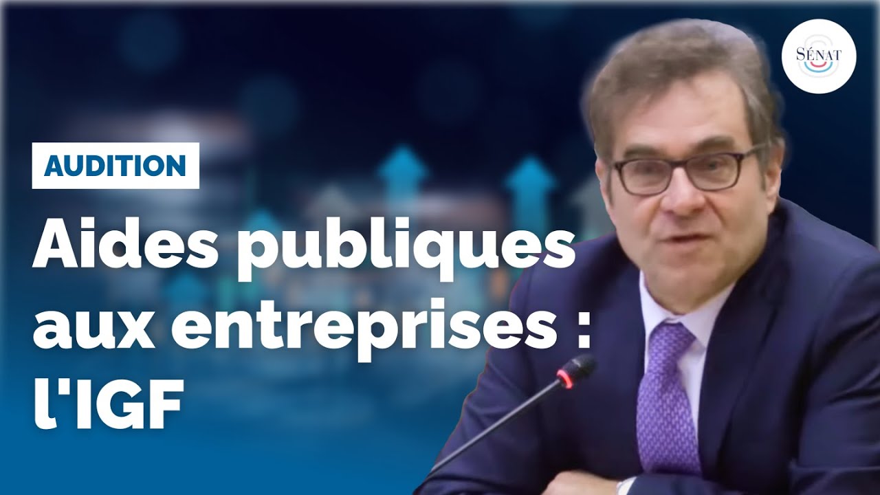 Aides publiques aux entreprises : audition de l'IGF