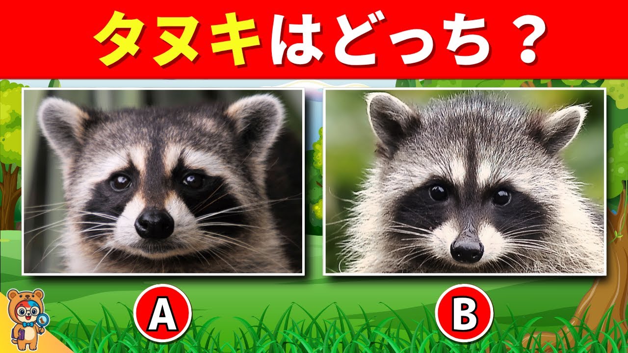 【全25問の動物クイズ】キミはそっくりな動物を見破れるかな？