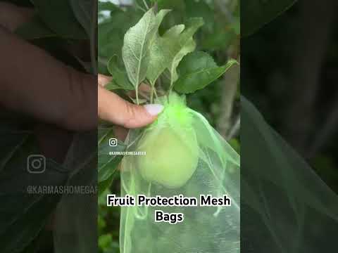 apple garden bags