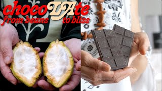 Chocolate's Natural History | A Complex & Beautiful Plant #nhmla #chocolate #cacao #naturalhistory Net Worth
