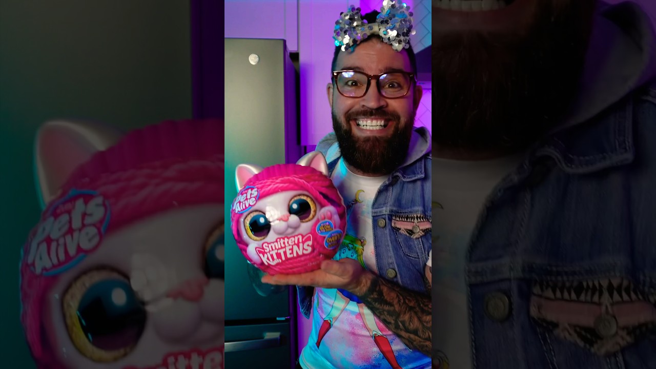 Pets Alive Smitten Kittens