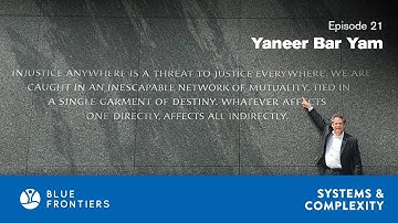 Complexity Science and Self-Organization. Yaneer Bar-Yam - Episode 21