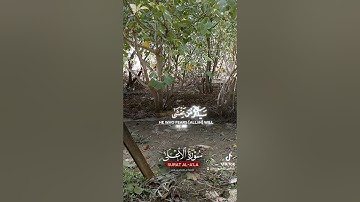 سورة الاعلى  #اكسبلور #لايك #تيك_توك #ترند
