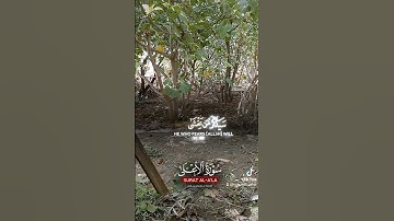 سورة الاعلى  #اكسبلور #لايك #تيك_توك #ترند