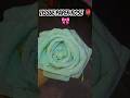 Tissue paper rose 🌹 🥀#annu the crafter